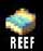 Reef
